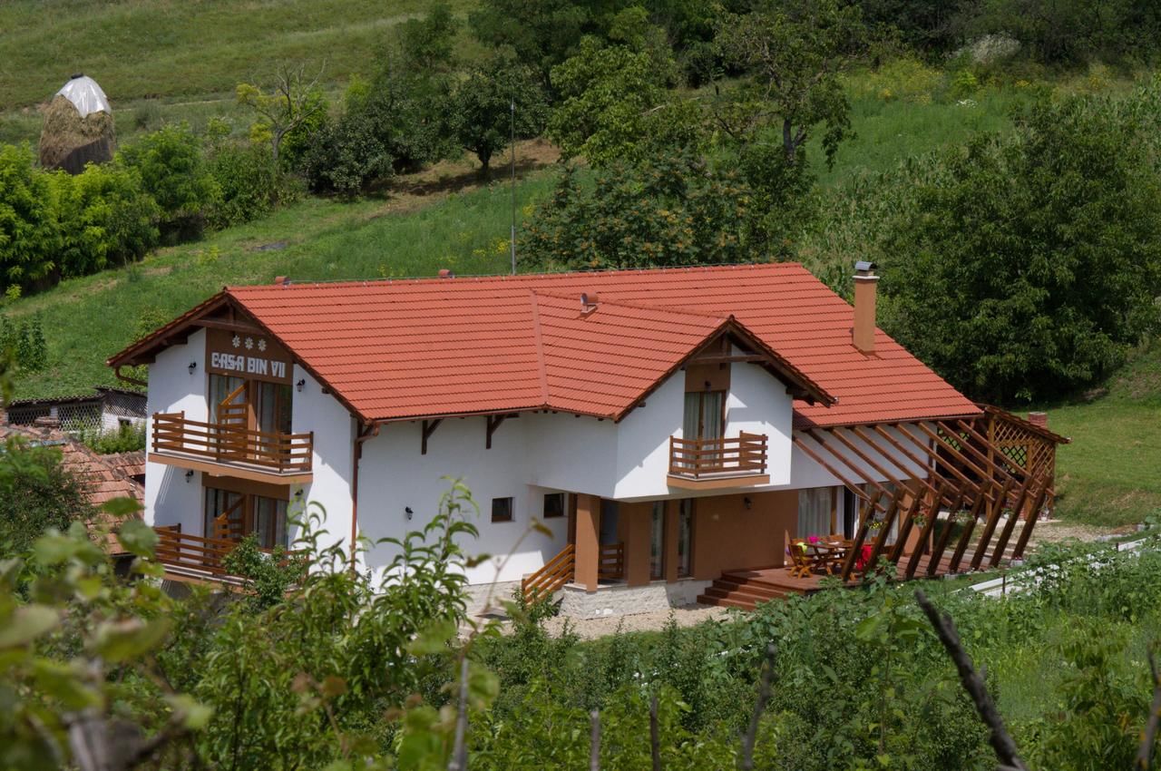Гостевой дом Pensiunea Casa din Vii Şeuşa-4