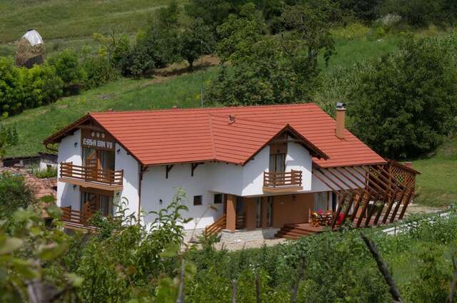 Гостевой дом Pensiunea Casa din Vii Şeuşa-3
